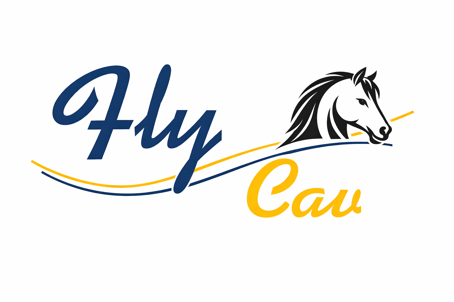FLYCAV logo